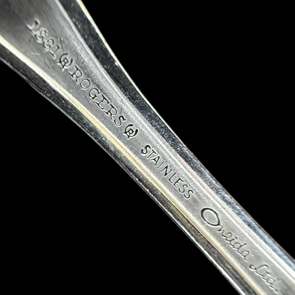 Oneida Twilight 1881 Rogers Stainless Flatware Serving‎ Spoon 8 1/2